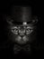 Dark muzzle cat close-up in a hat and tie butterfly