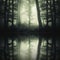 Dark mysterious forest reflection