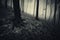 Dark mysterious haunted forest with fog