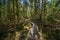 dark mysterious spruce tree forest with rocks and moss