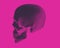 Dark negative engraving skull side view on pink BG