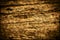 Dark Old Rotten Wood Background Texture