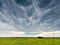 Dark and ominous mammatus storm clouds over a canola field