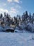 A dark one-story wooden house - a round log bathhouse in the snow among snow-covered trees on a cold clear day