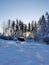 A dark one-story wooden house - a round log bathhouse in the snow among snow-covered trees on a cold clear day