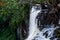 Dark photo of detail of Kalandula waterfalls of Angola in full flow with lush green rain forest and tree roots, Africa
