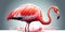 Dark pink colored flamingo realistic looking illustration