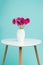 Dark pink gerberas in a vase on a retro table. Happy Mother`s Day Candy Blue Coloured Background.