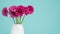 Dark pink gerberas in a vase on a retro table. Happy Mother`s Day, Women`s Day, Valentine`s Day or Birthday background.