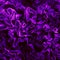Dark purple fabric flounces background