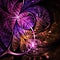 Dark purple fractal butterfly or flower