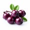 Dark Purple Kakia Kiki Berry Fruit Isolated On White Background