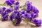 Dark Purple Statice Limonium sinuatum Flowers on natural burlap background. Mediterranean plant in Plumbaginaceae Family.