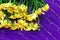 Dark purple wooden background with a bouquet of yellow daisies on the boards