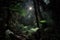 dark rainforest at night, with the moon shining through the towering canopy