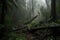 dark rainforest after storm, with trees bent and broken by winds