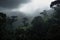 dark rainforest, with view of canopy and misty sky