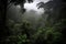 dark rainforest, with view of canopy and misty sky