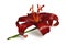 Dark red Asiatic lily isolated on white