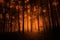 Dark red colored mystery forest background