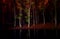 Dark red night in forest with tree mirroring in water.Light pain