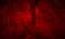 Dark Red Old Grunge Abstract Texture Background Wallpaper.