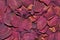 Dark Red Rose Petals Dried For Bath, Tea, Skin, Oil Infusion