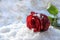 Dark red rose in the white snow  love symbol and holiday gift in winter like valentins day  copy space