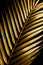 Dark and rich tropic minimalist creative photography of a golden palm leaf