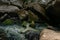 Dark river stones at the river bank