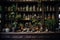 Dark room of old fashioned vintage pharmacy with herbs and dried plants. Green natural traditional medicine. Herbal