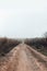 Dark rural dirt road with mud in fog, landscape empty countryside