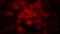 Dark scary animated bloody background with black spots