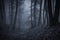 Dark scary forest with fog at night