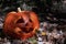 Dark scary forest. Pumpkin with a carved, smiling face. The symbol of Halloween.