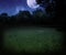 Dark Scary Meadow at Night Halloween Background