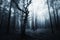 Dark scary mysterious forest with fog on Halloween