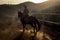 Dark shadow rider with brown horse in the sunset at the mountain - dust and golden light for freedom alternative lifestyle