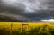 A dark shelf cloud and storm approach as the sun shines brightly looking down a fence.