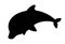 Dark silhouette of dolphin