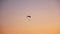 Dark silhouette of Moto Paraglider flies, soars in the air, against the background of a bright orange sunset