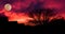 Dark silhouette of a village with a tree, blood red clouds and a moon in the darkness, halloween background