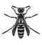 Dark silhouette of wasp. View from above. Vector illustration.