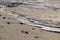 dark silhouetted rocks with waves and golden sand