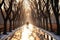 Dark silhouettes of people walking in a park brightly illuminated by the winter sun