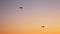 Dark silhouettes of two Moto Paragliders fly, soar in the air, against the background of a bright orange sunset