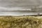 Dark skies and windblown dunes