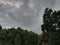 Dark Sky with grey clouds and trees. Dark landscape .Cloudy weather.