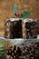 Dark spicy rich Christmas fruit cake