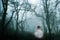 A dark, spooky forest with a ghostly womanin a white dress, on a cold foggy winters day. With an old artistic vintage edit